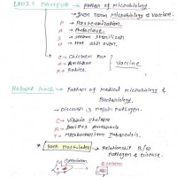 Microbiology handwritten Notes 2023 by Dams Microbiology handwritten Notes 2023 by Dams