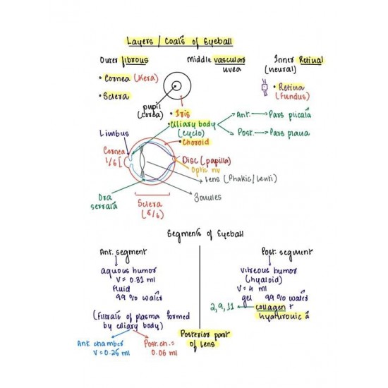 Opthalmology Handwritten Notes 2022 Color Notes by Ruchi Rai Dams