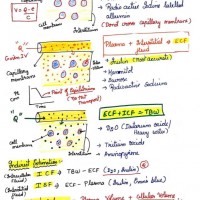 Dams Handwritten Notes 2022 Edition Complete 19 Subjects Notes for NEET PG , INI CET , NEXT PG