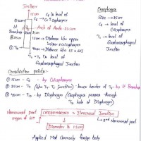 Dams Handwritten Notes 2022 Edition Complete 19 Subjects Notes for NEET PG , INI CET , NEXT PG