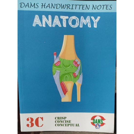 Anatomy Colored Notes 2023 by Damsss