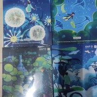 Rapid Revision Color Notes 2024 by Prepladderrrr