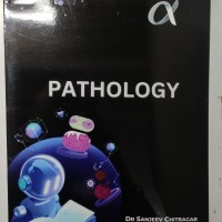 Pathology Handwritten 2025 Alpha Notes Color by Dams