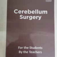 Cerebellum Main Notes Color 2026 by Cerebellumm Cerebellum Main Notes Color 2026 by Cerebellumm