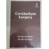 Cerebellum Main Notes Color 2026 by Cerebellumm