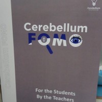Cerebellum FOMO Color Notes 2026 by Cerebellum Cerebellum FOMO Color Notes 2026 by Cerebellum