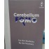 Cerebellum FOMO Color Notes 2026 by Cerebellum