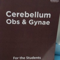 Cerebellum Main Notes OBS and Gynae Color 2026 by Cerebellum Cerebellum Main Notes OBS and Gynae Color 2026 by Cerebellum
