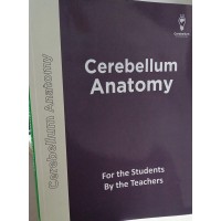 Cerebellum Anatomy Main Notes Color 2026 by Cerebellum Cerebellum Anatomy Main Notes Color 2026 by Cerebellum