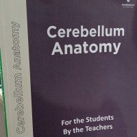 Cerebellum Anatomy Main Notes Color 2026 by Cerebellum Cerebellum Anatomy Main Notes Color 2026 by Cerebellum