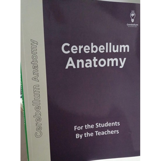 Cerebellum Anatomy Main Notes Color 2026 by Cerebellum