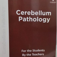 Pathology Main Notes color 2026 by Cerebellum Pathology Main Notes color 2026 by Cerebellum
