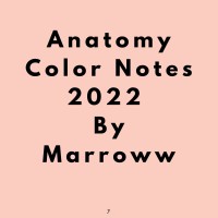 Anatomy Colored Notes 2022 by Marroww 