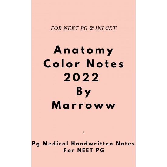 Anatomy Colored Notes 2022 by Marroww 