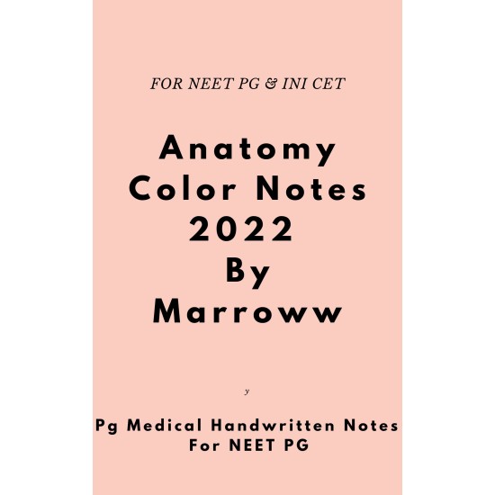 Anatomy Colored Notes 2022 by Marroww 