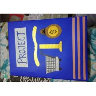 Consumer Awareness Project PDF for Class 10th