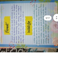 Forest and Wildlife Project PDF for Class 10th 