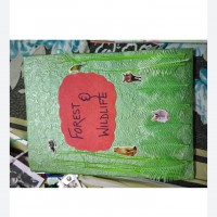 Forest and Wildlife Project PDF for Class 10th 