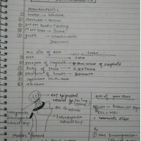 Orthopedics Handwritten Notes 2017 by Dr.  A. Mehra 