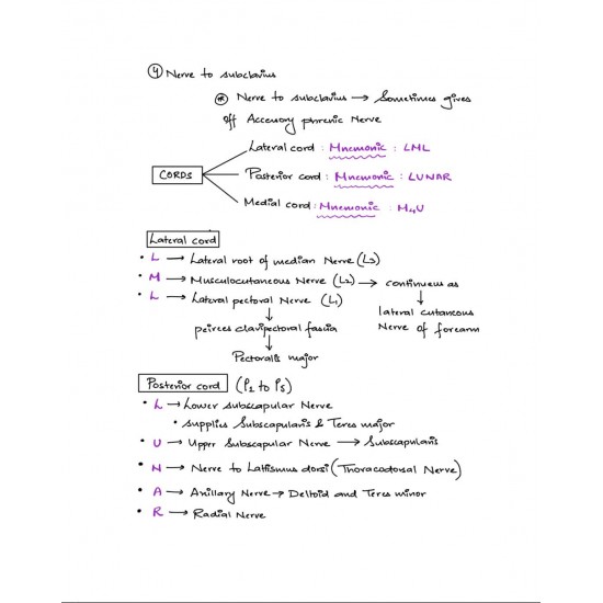 Handwritten Anatomy Notes 2020 by Dr. Ashwani Kumar Color Version
