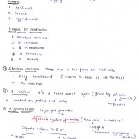 Dermatology Handwritten Notes Colorful Version by Marroww e book