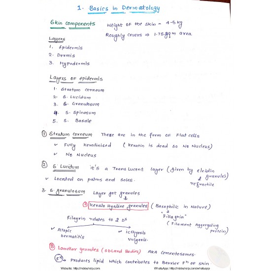 Dermatology Handwritten Notes Colorful Version by Marroww e book