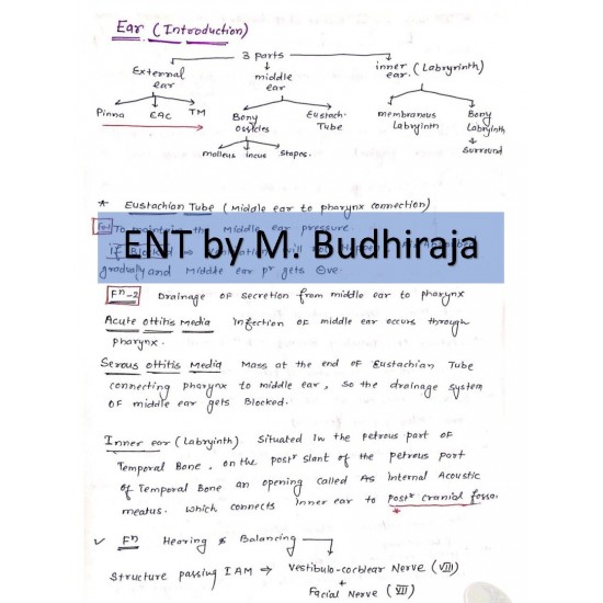 Ent Classroom Complete Handwritten Notes 2019 by Marroww