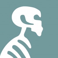 Radiology Colored Handwritten Notes by Dams 2020