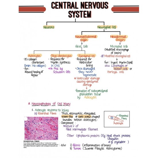 Pathology Handwritten Colored Notes by Devesh Mishra Pathology 2020