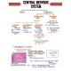 Pathology Handwritten Colored Notes by Devesh Mishra Pathology 2020