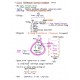 Pathology Handwritten Colored Notes by Devesh Mishra Pathology 2020