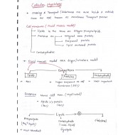 Physiology Complete Handwritten Classroom Notes 2019 by Marroww