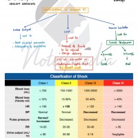 Surgery Sixer Rapid Revision Notes 2020 Surgery Sixer Rapid Revision Notes 2020