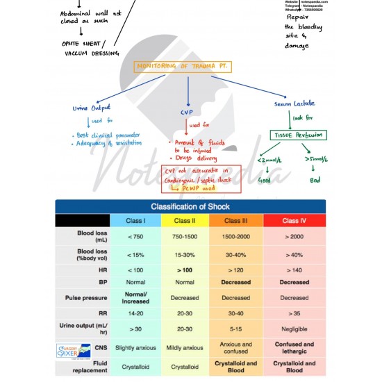 Surgery Sixer Rapid Revision Notes 2020