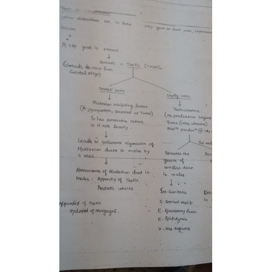 Obstetrics and Gynecology (P.G.) Handwritten  2018 Notes by Sakshi Arora