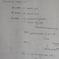 Opthalmology Handwritten Notes 2018 by Utsav Bansal Opthalmology Handwritten Notes 2018 by Utsav Bansal