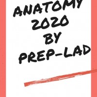 Anatomy Handwritten Color Notes 2020 by Prepladderrr