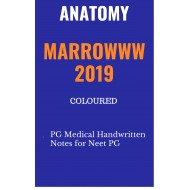 Anatomy Colored Notes 2019 by marroww