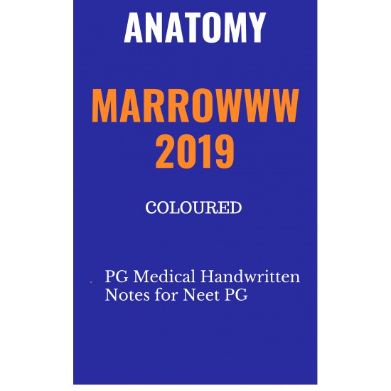 Anatomy Colored Notes 2019 by marroww