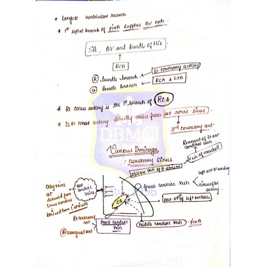 Mbbs Notes for Prof 1 Subjects by Dr Bhatia Institute 2019-2020 Colored Version