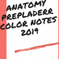 Anatomy Handwritten Coloured Notes 2019 by Prepladderrr