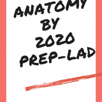 Anatomy Handwritten Notes 2020 by Prep black n white 