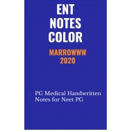 Ent Colored Notes 2020 by Marroww