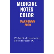 Medicine Colored Notes 2020 by Marroww