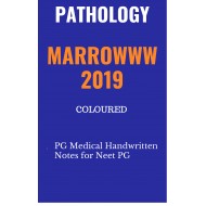 Pathology Colored Handwritten Notes 2019 by Marroww