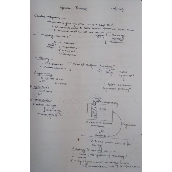 Pathology Handwritten Notes by D Mishra 2018