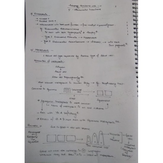 Pathology Handwritten Notes by D Mishra 2018