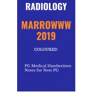 Radiology Colored handwritten notes 2019 by marroww