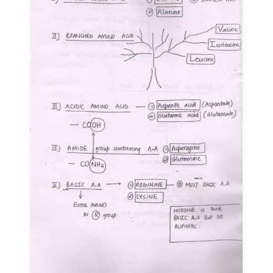 Biochemistry Handwritten Notes 2017 by R. James