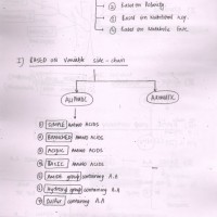 Biochemistry Handwritten Notes 2017 by R. James